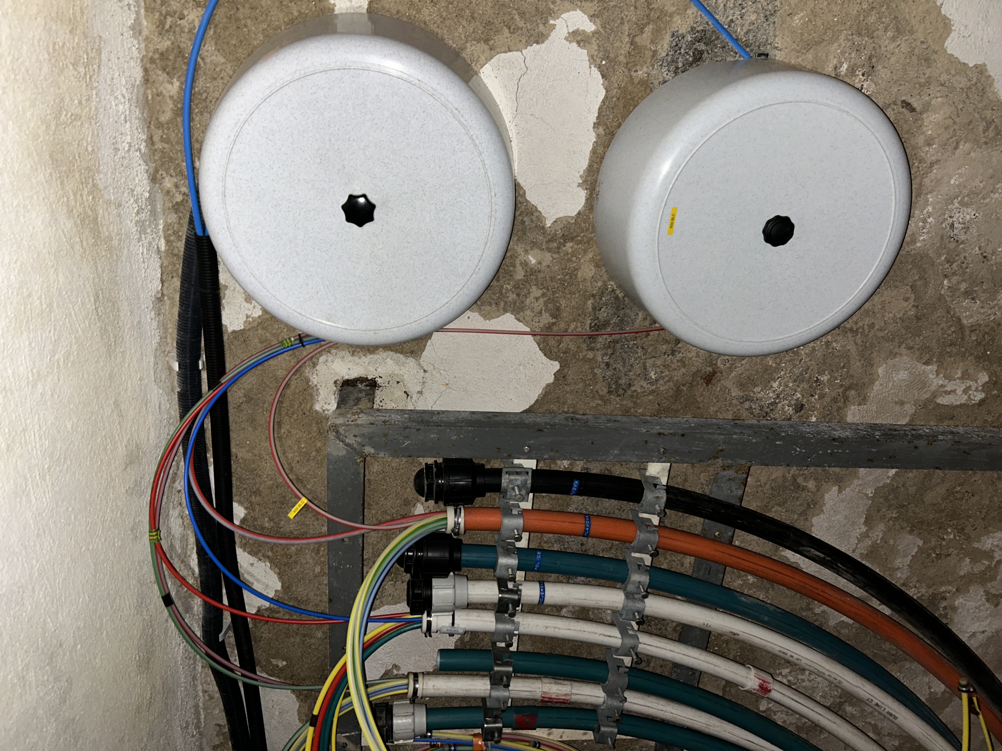 20250217_125200286_iOS